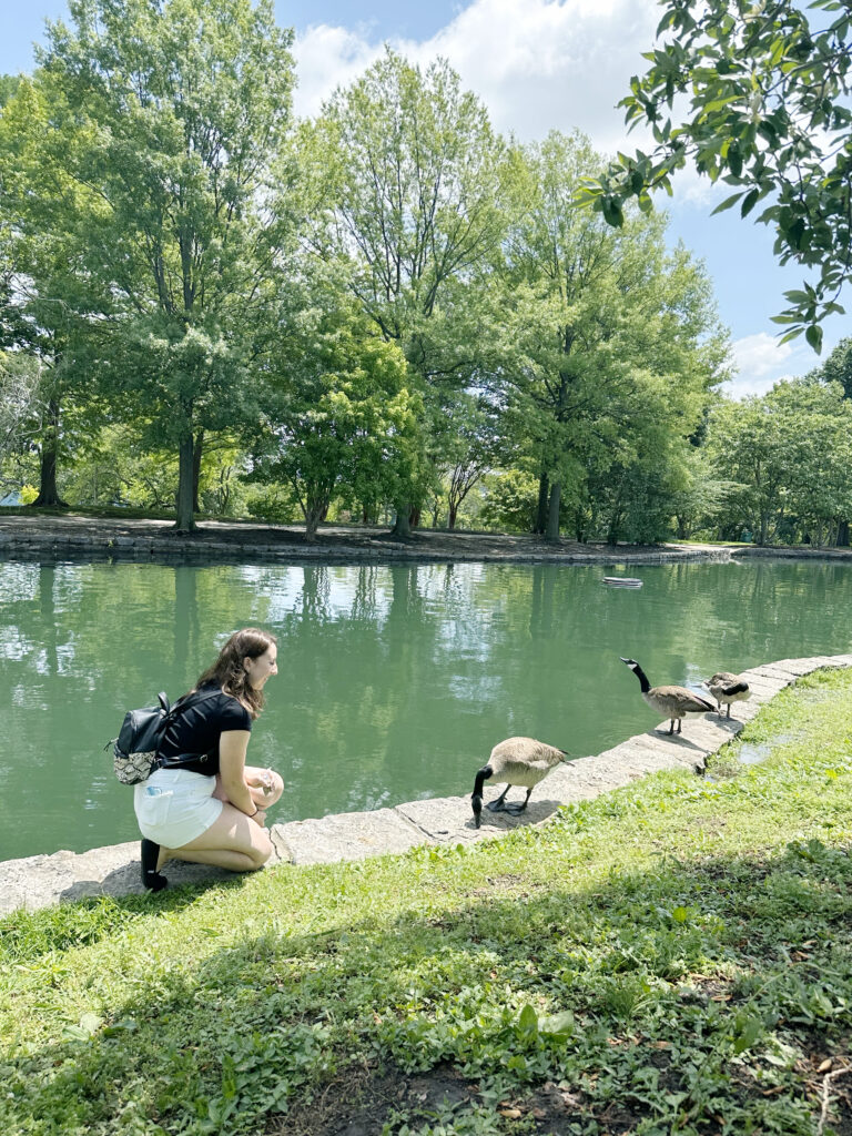 a girl feeding goose in nashville